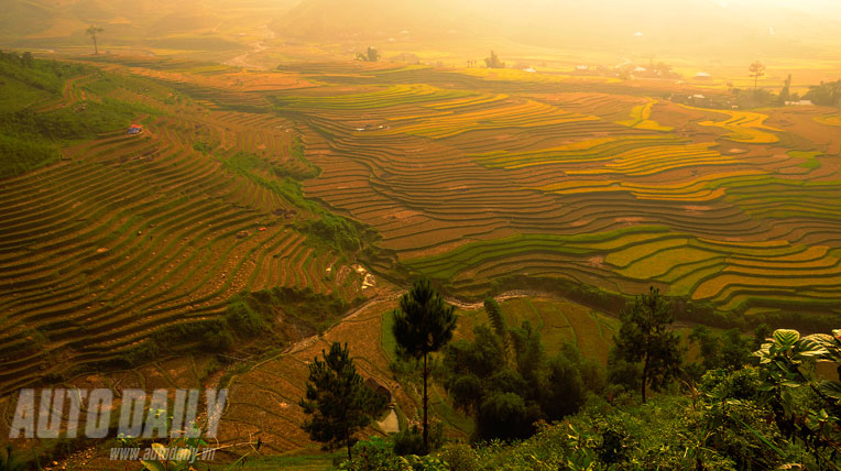 Kiệt t&aacute;c ruộng bậc thang M&ugrave; Cang Chải